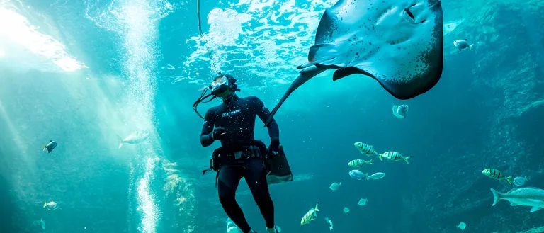 Day Pass - Child (4-13)